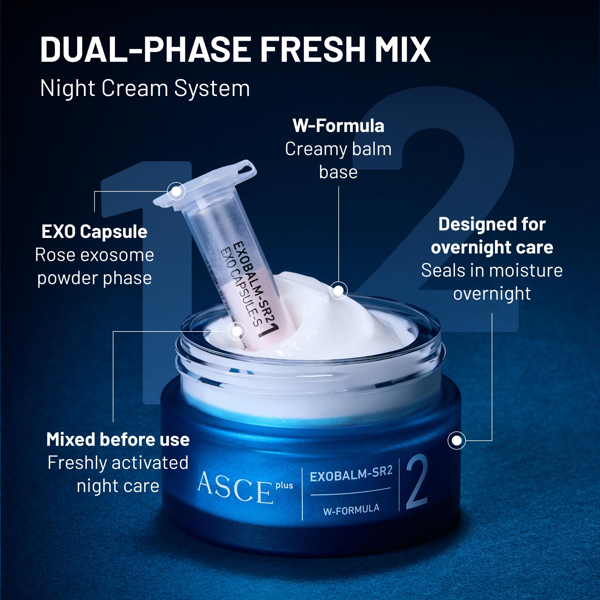 Amazon.com: ASCE+ EXO NIGHT CREAM Rose Exosome 20ml – Anti-Aging